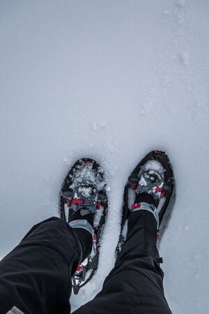 Rackets view from the top in powder snowの写真素材