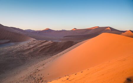 Sunrise morning view from dune 45, Namibiaの写真素材