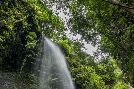 Waterfall in Los Tilos park in La Palma, Canary Islands
