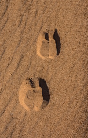 Camel foot prints in Wadi Rum desert, Jordan