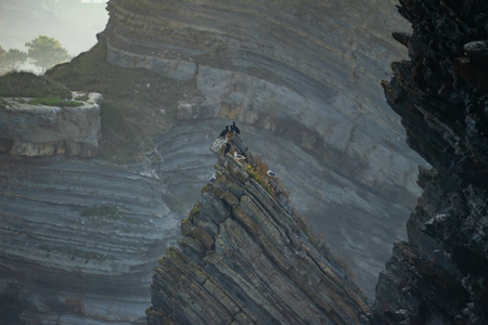 Cormorants, gulls and detail of the coast cliffs in Barrika, Basque Country