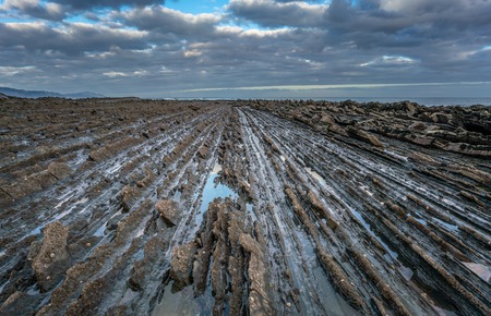 Detail of the coast cliffs in Zumaia at dawn, Basque Country