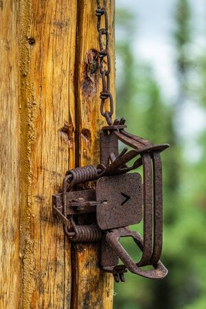Old and rusty hunting trap hanging on a wall, Alaskaの写真素材