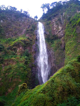 Waterfalls Falling From High Mossy Cliffsの写真素材