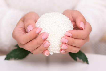 Beautiful female hands with pink manicure nails and white flowerの写真素材