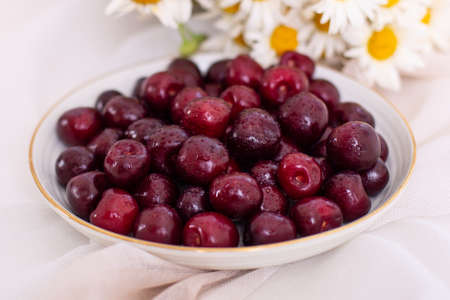 Sweet cherries on golden plate with chamomileの写真素材