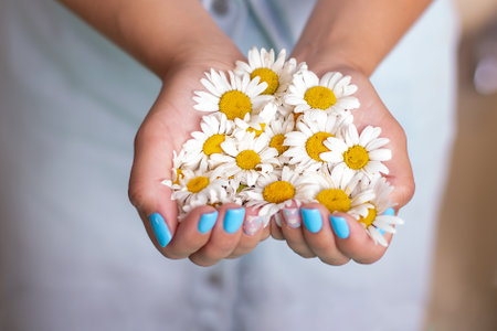 Female hands with summer manicure nails, decorated with camomile flowersの写真素材