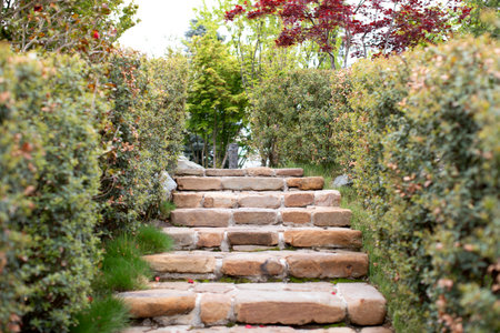 Stone ladder in summer park near trees and bushes