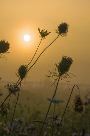Meet the new autumn dayの写真素材