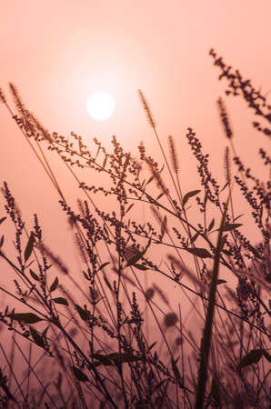 Meet the new autumn dayの写真素材