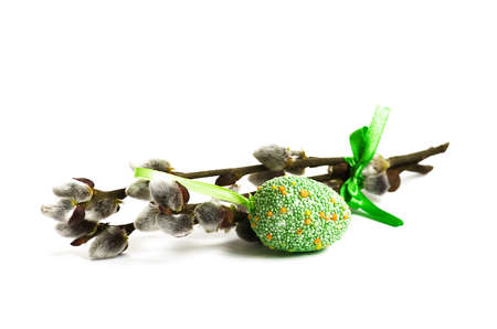 Spring willow branch on a white background bounded
