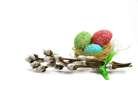 Spring willow branch on a white background bounded