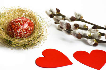 Spring willow branch on a white background boundedの写真素材