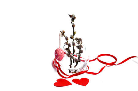 Spring willow branch on a white background bounded