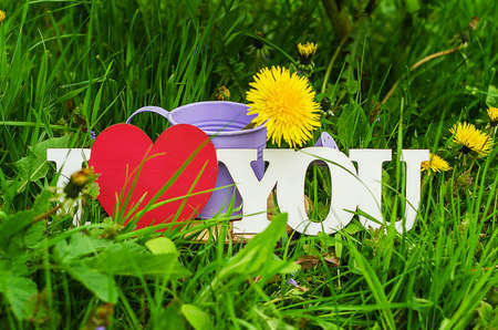 Yellow little flowers dandelions grow outdoors in the springの写真素材