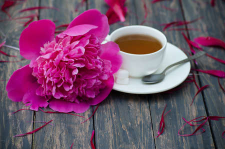 Hot tea and peony petals on dark wooden backgroundの写真素材