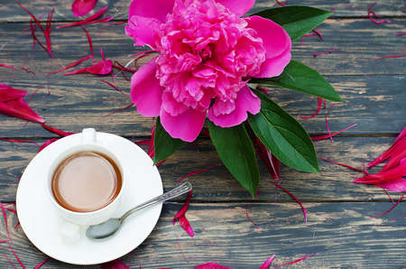 Hot tea and peony petals on dark wooden backgroundの写真素材