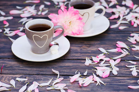 Hot tea with sweet chrysanthemum petals on the wooden backgroundの写真素材