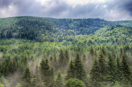 The landscape on the Carpathian Mountains in Ukraine on a summer dayの写真素材