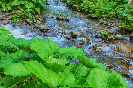 A stream in the mountains flows along the rocks and a stormy waterfall in the summerの写真素材