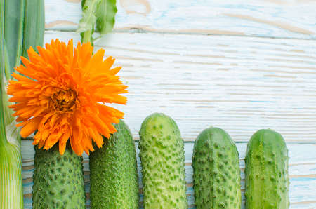 Still life of cucumbers and other vegetables and seasoningsの写真素材