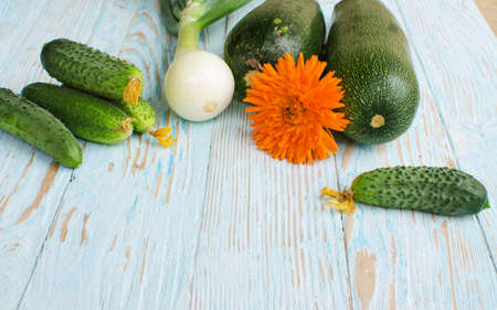 Still life of cucumbers and other vegetables and seasoningsの写真素材