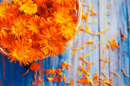 Orange juice flowers grow in the fresh air is a medicinal plantの写真素材