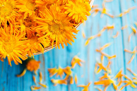 Orange juice flowers grow in the fresh air is a medicinal plantの写真素材