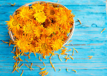 Orange juice flowers grow in the fresh air is a medicinal plantの写真素材