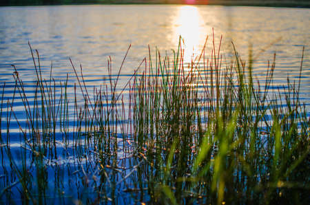 The lake and the sunset with a magnificent color of the sky in the summerの写真素材