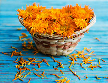 Orange juice flowers grow in the fresh air is a medicinal plantの写真素材