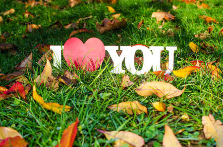 The inscription on the wooden background love about flowers and coffeeの写真素材