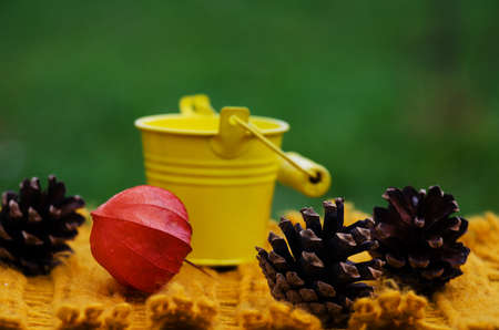 bucket, plant pots with objects in it with colored backgroundの写真素材