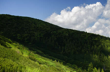 The landscape on the Carpathian Mountains in Ukraine on a summer dayの写真素材