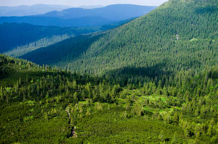 The landscape on the Carpathian Mountains in Ukraine on a summer dayの写真素材
