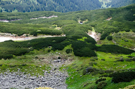 The landscape on the Carpathian Mountains in Ukraine on a summer dayの写真素材