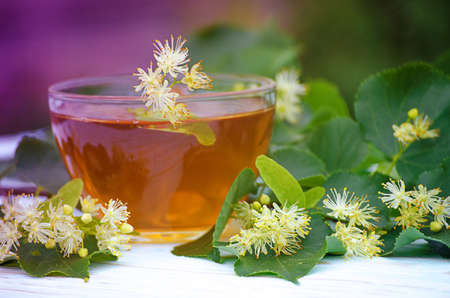 hot tea made from lime in a pot with a branch of lime