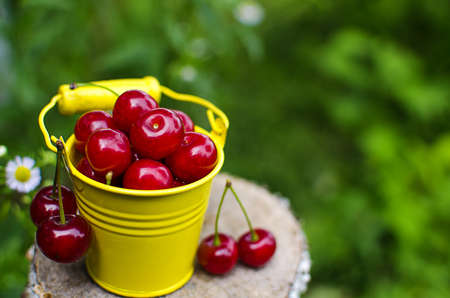 red ripe cherry on a background of trees and the sun
