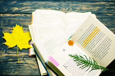 Hot tea at the weekend with a book in the open air in the fall