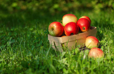 Apples on a limited background in the basket and juiceの写真素材