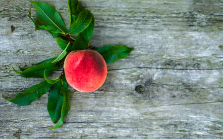 The big fruit reached a peach grows on a branch in the open air in the summerの写真素材