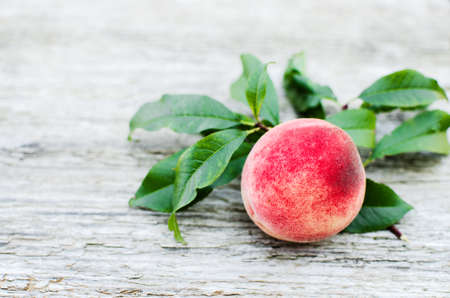 The big fruit reached a peach grows on a branch in the open air in the summerの写真素材