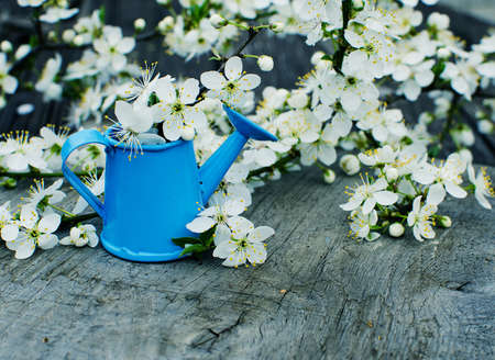 Little Purple decorative watering can for watering flowers or pots