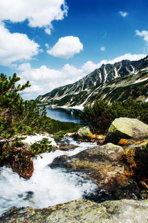 The landscape on the Carpathian Mountains in Ukraine on a summer dayの写真素材