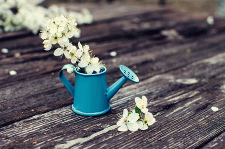 Fresh beautiful flowers in a watering can on a wooden background or limitedの写真素材