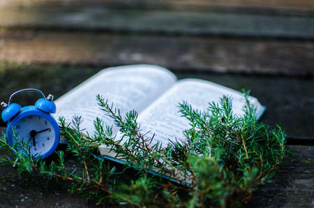 A small alarm clock gives a signal for the morning riseの写真素材