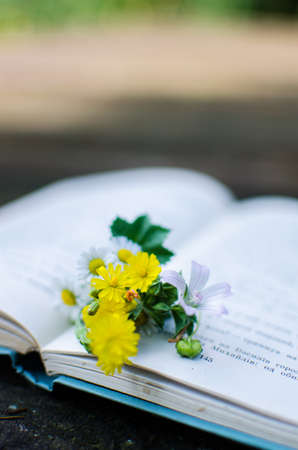 Open book and flowers for a good rest and readingの写真素材