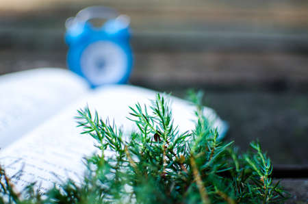 A small alarm clock gives a signal for the morning riseの写真素材