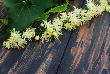 Aromatic hot linden tea in a cup for morning relaxation or warming by the fireplace from a cold