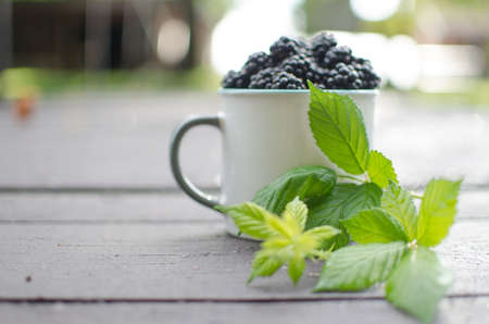 raspberry Shrub 1-2 m tall with annual vegetative shoots and woody biennial stems that form flowering shootsの写真素材